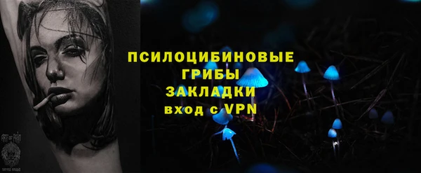 трава Армянск